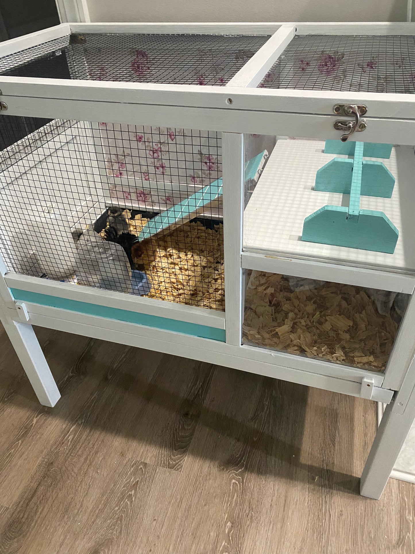 The Tiffany Brooder/Small Animal Hutch